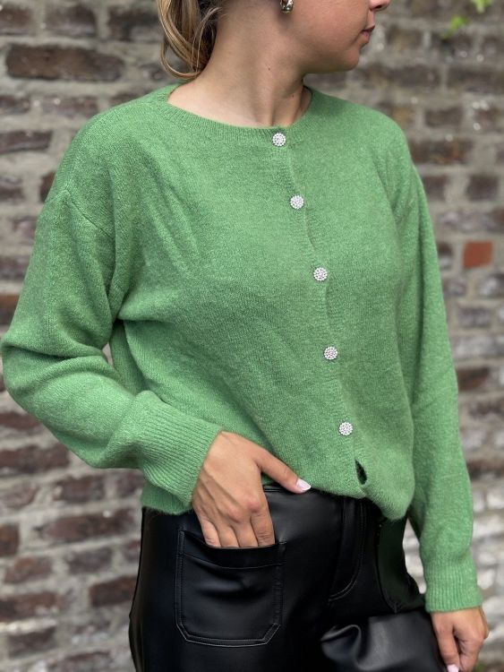 Sweet Lemon VGILET Vert vêtements (Imaya - Eleonora - Imaya - Eleonora) - Marques à Suivre